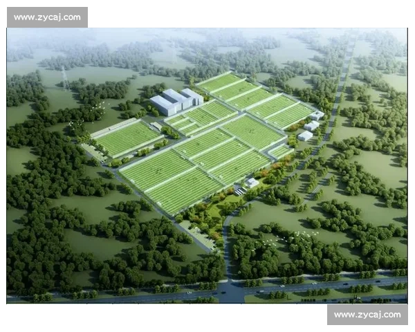 打造专业足球数据与赛事互动平台助力品牌推广新增长生态建设升级